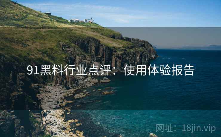 91黑料行业点评：使用体验报告