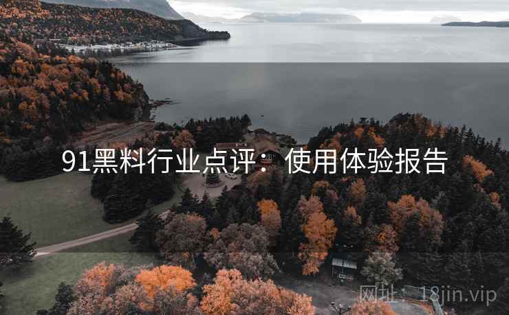 91黑料行业点评：使用体验报告