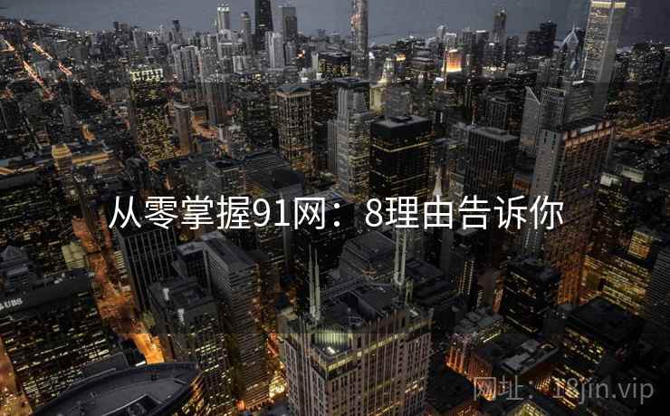 从零掌握91网：8理由告诉你
