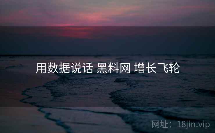 用数据说话 黑料网 增长飞轮
