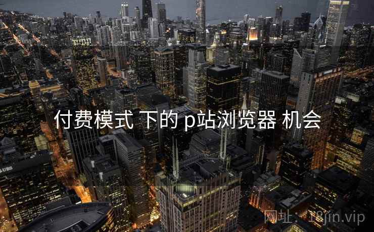 付费模式 下的 p站浏览器 机会