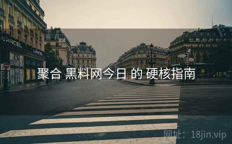聚合 黑料网今日 的 硬核指南
