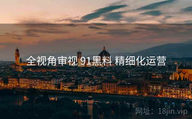 全视角审视 91黑料 精细化运营