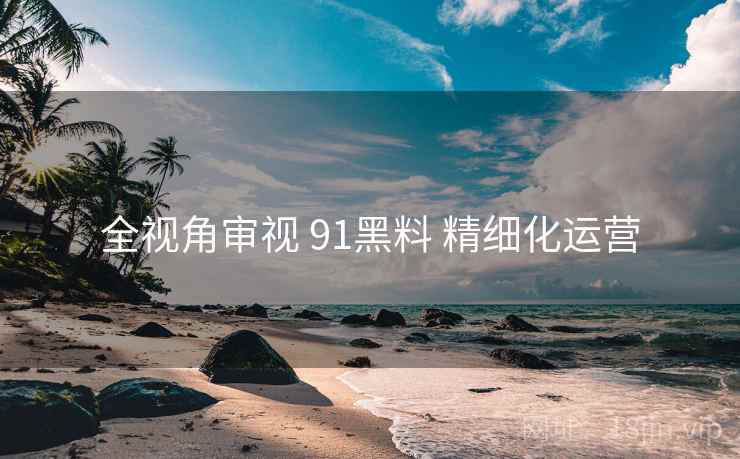 全视角审视 91黑料 精细化运营