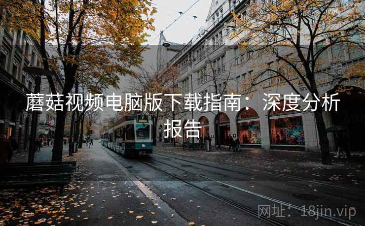蘑菇视频电脑版下载指南：深度分析报告