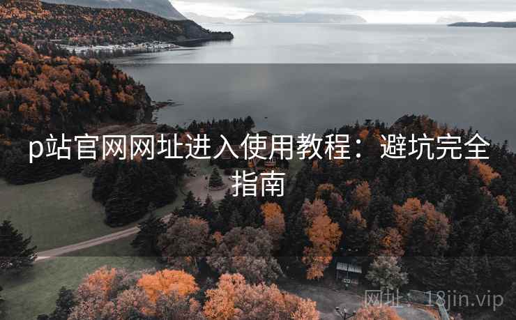 p站官网网址进入使用教程：避坑完全指南