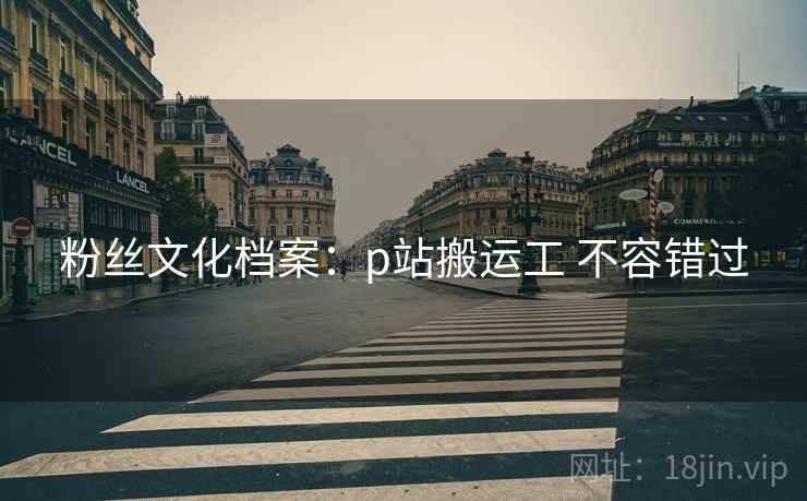粉丝文化档案：p站搬运工 不容错过