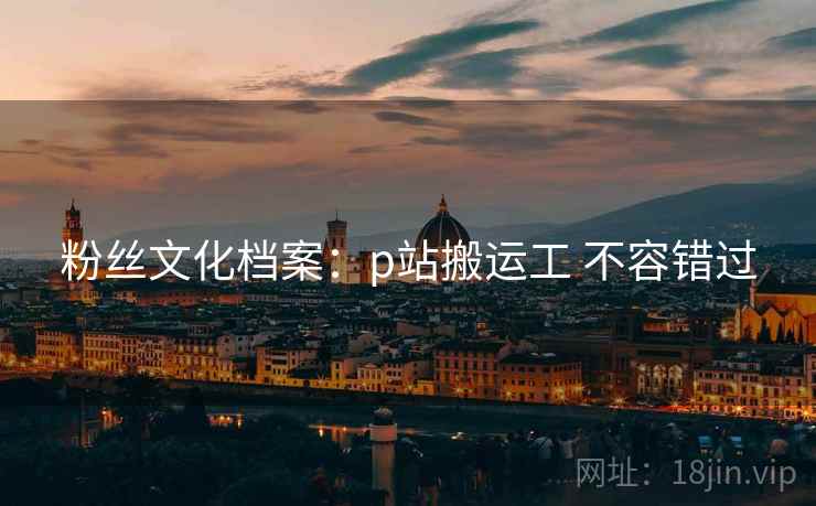 粉丝文化档案：p站搬运工 不容错过