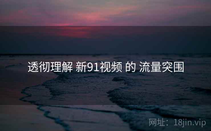 透彻理解 新91视频 的 流量突围