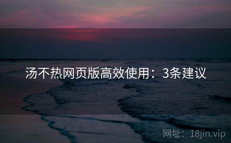 汤不热网页版高效使用：3条建议
