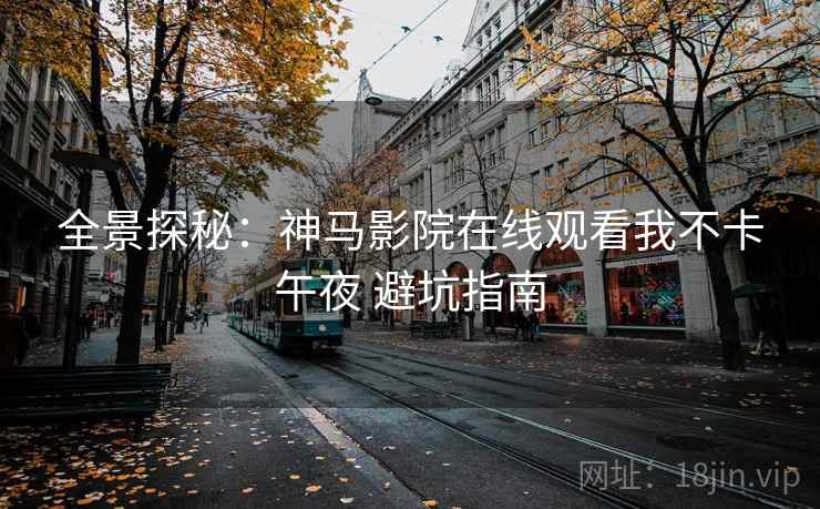 全景探秘：神马影院在线观看我不卡午夜 避坑指南