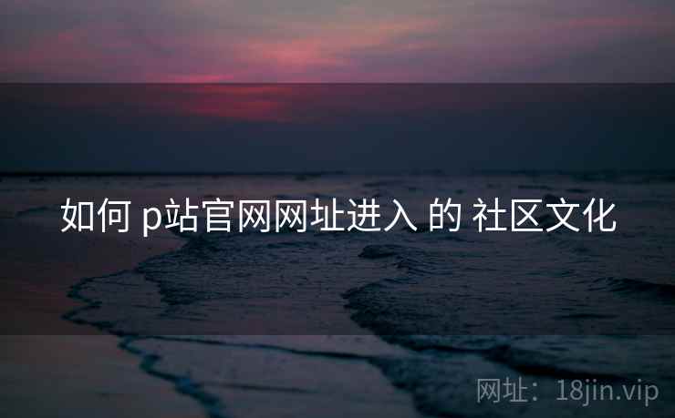 如何 p站官网网址进入 的 社区文化