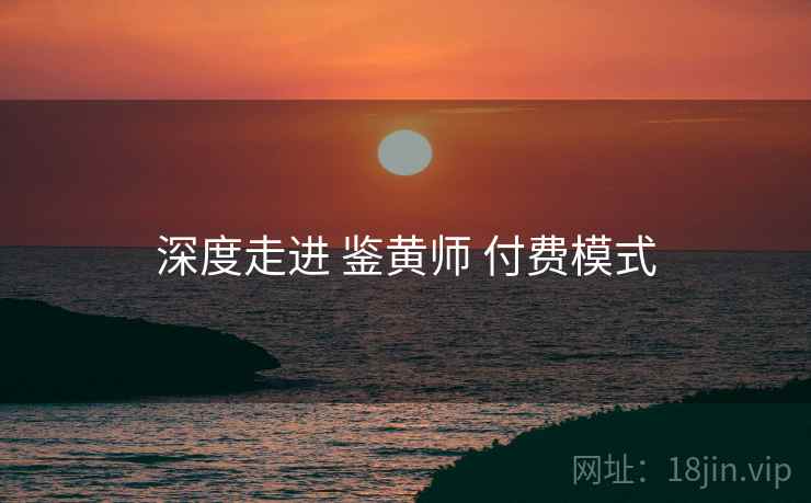深度走进 鉴黄师 付费模式