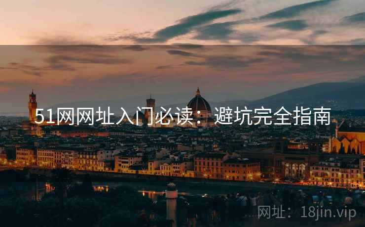51网网址入门必读：避坑完全指南