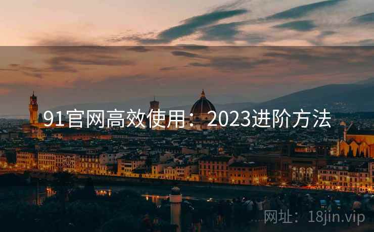 91官网高效使用：2023进阶方法