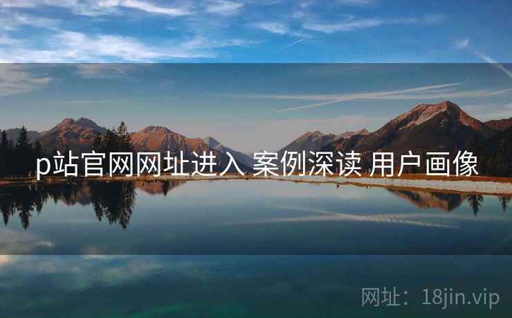 p站官网网址进入 案例深读 用户画像