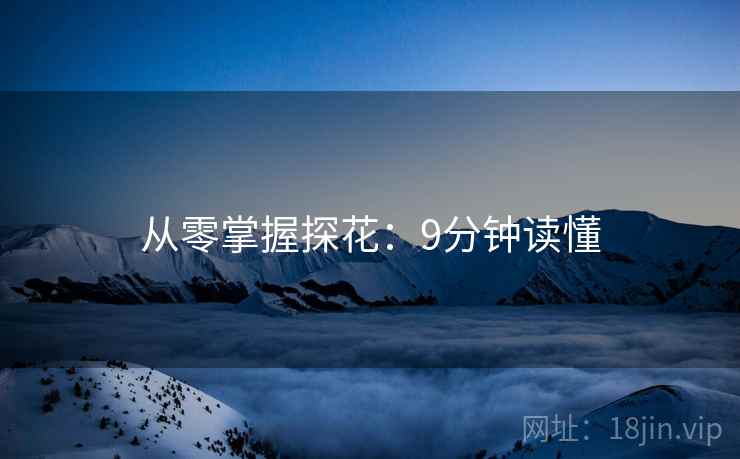 从零掌握探花：9分钟读懂