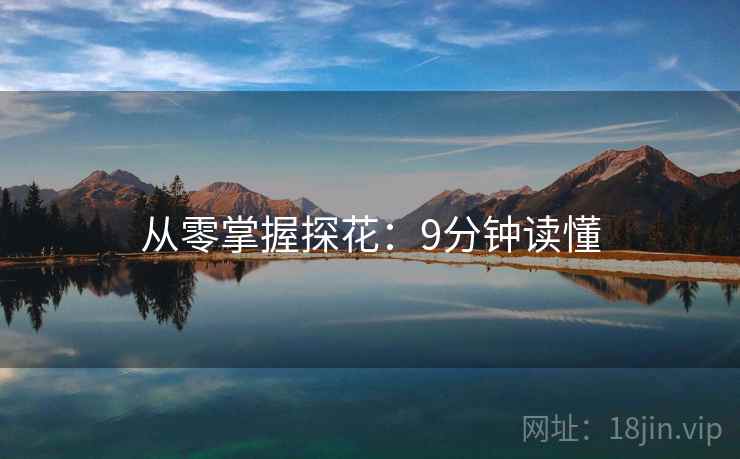 从零掌握探花：9分钟读懂