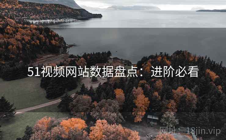 51视频网站数据盘点：进阶必看