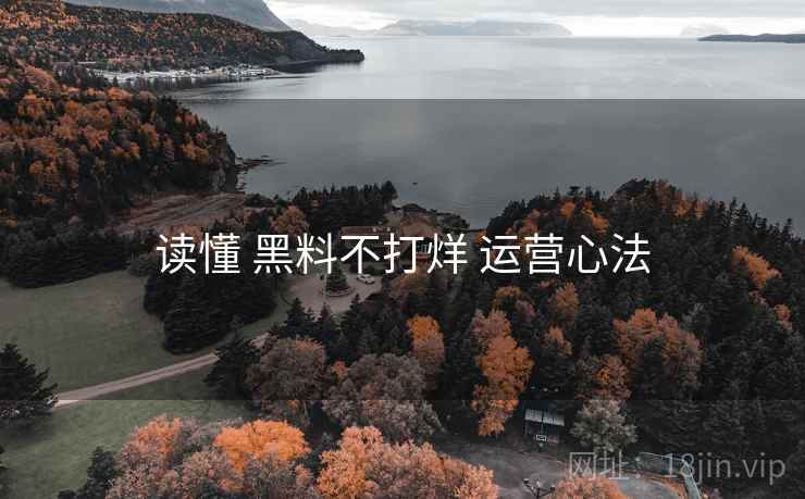 读懂 黑料不打烊 运营心法