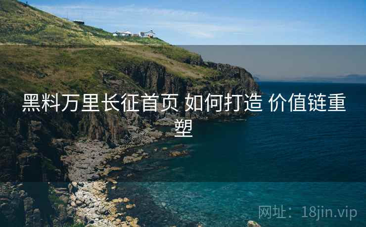 黑料万里长征首页 如何打造 价值链重塑