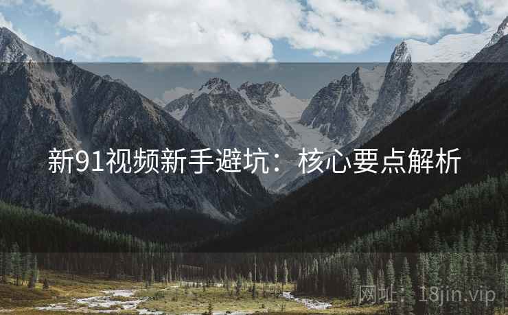 新91视频新手避坑：核心要点解析