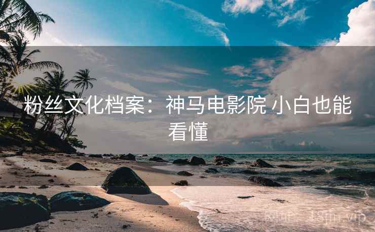 粉丝文化档案：神马电影院 小白也能看懂